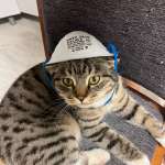 Владимир, фото