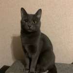 Марина, фото