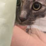 Павел, фото