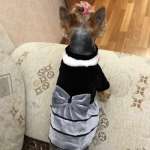 марат, фото