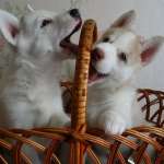 Наталия, фото