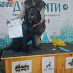 Ксюша, фото