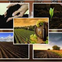 Чернозем валом и в мешках., в Нижнем Новгороде