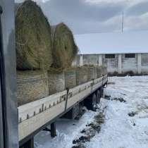 Сено разнотравье и люцерна, в Краснодаре