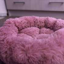 Лежанка для котят-кошек, в Краснодаре