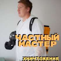 Уничтожение тараканов, клопов, грызунов, устранение плесени, в Москве