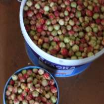 Продам ягоды морошку 3литра 1200рублей, в Череповце