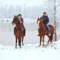 Подарок-впечатление от конного клуба "Центавр", в Нижнем Новгороде