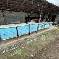 ПАСЕКА, в Гудермесе