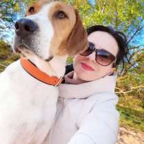 Продаются щенки Пегой Русской Гончей, в г.Гамбург