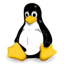 Настройка сервера Linux для работы сайта, перенос сайта, в Москве