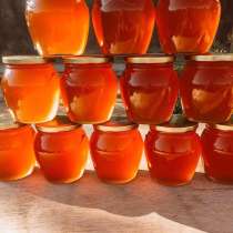 Продам натуральный крымский мёд!, в Симферополе