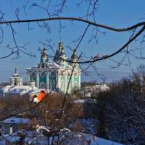 Частные экскурсии по Смоленску и Талашкино на Новый год, в Смоленске
