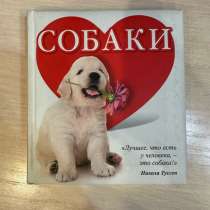 Книга Собаки, в Москве