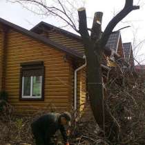 Спиливаем деревья качественно и быстро любого масштаба, в Воронеже