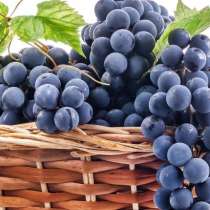 Покупаем виноград Молдова оптом, в Москве