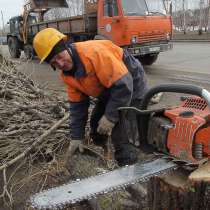 Спиливание деревьев, земляные работы, демонтаж, заборы, в Воронеже
