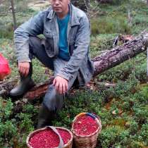 Александр, 42 года, хочет познакомиться, в Череповце