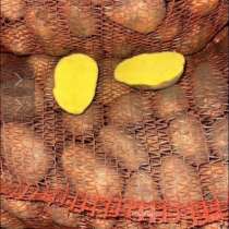 Вкусный картофель, в Ачинске