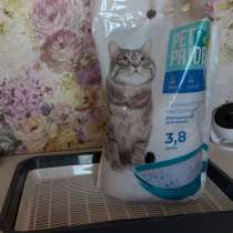 Силикагель + новый лоток, в Сочи