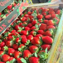 Мелький и крупный ОПТ ? Авиадоставка в любой регион РФ, в Москве