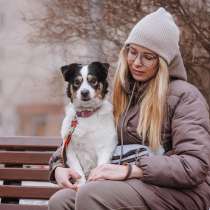 Собака Оливка ищет дом и хозяина, в добрые руки, в Москве