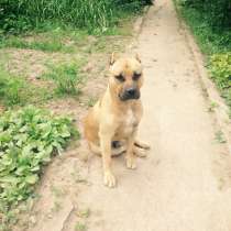 Вязка кабель, в Москве