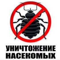 Уничтожение насекомых, быстро, качественно, в Москве