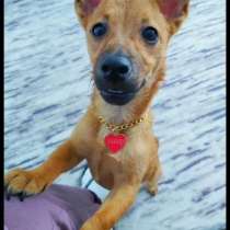 Мальчик в Добрые руки, в Москве