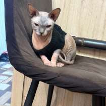 Сфинкс, в Аткарске