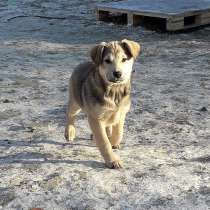 Нэнси мечтает о маме и папе, в Москве