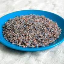 Лаванда, в Санкт-Петербурге