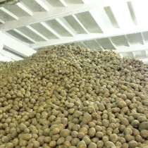 Картофель оптом сорт Гала 5+, в г.Ашхабад