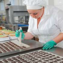 Консультация по санитарным нормам общепита в Беларуси, в г.Минск