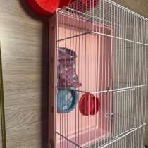 Клетка для хомяков, в Долгопрудном