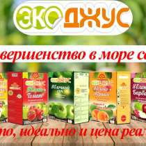 Сок ЭкоДжус, в г.Каракол