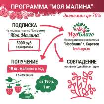 Кооперативные эко-продукты от производителей, в Саратове
