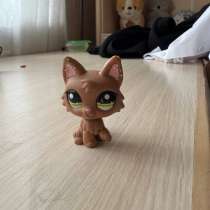 LPS, в Рязани