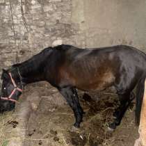 Ассаламу алейкум, в Москве
