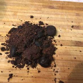 Мускус кабарги, в Новосибирске