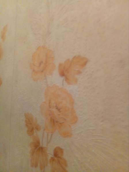 Ремонт 3D полы Паркет в Брянске