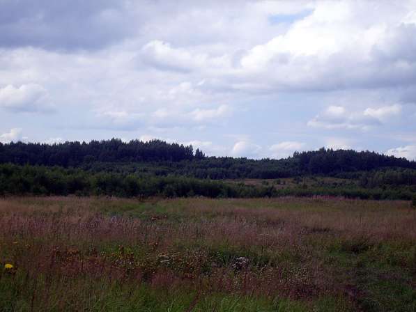 Продаются земельные участки в д Савино, Износковский район в Калуге фото 3