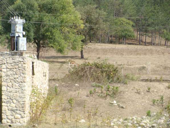 Продается земельный участок 14 соток в Бахчисарае фото 4