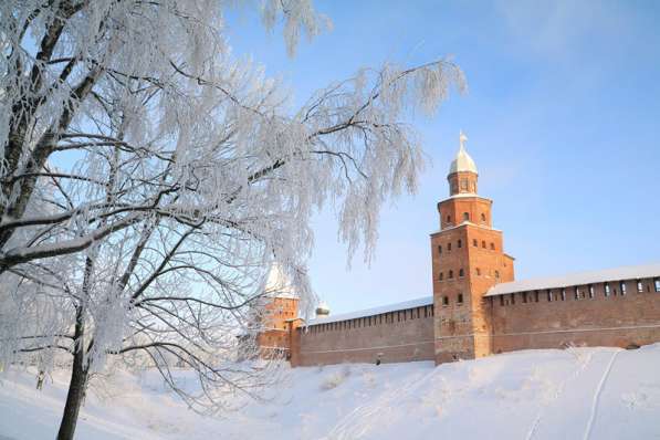 Великие Крепости Северо - Запада, автобусный тур в Москве фото 5