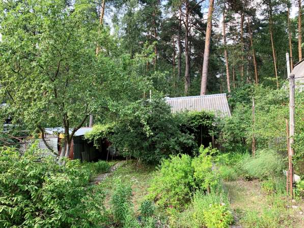 Дом и баня на участке 5,9 соток 250 м от реки Ока в Серпухове фото 11