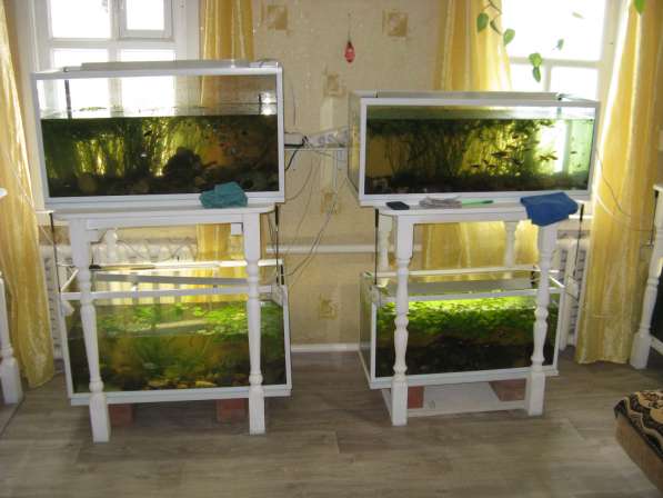 Акваферма, много аквариумов, не дорого в Самаре