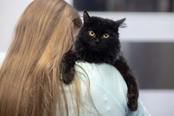 Красавец Пастернак ищет дом в Москве фото 7