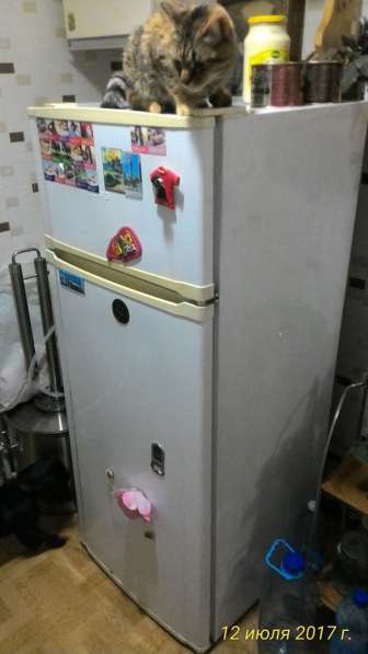 Продам холодильник Норд б/у в хорошем состоянии в Севастополе фото 3