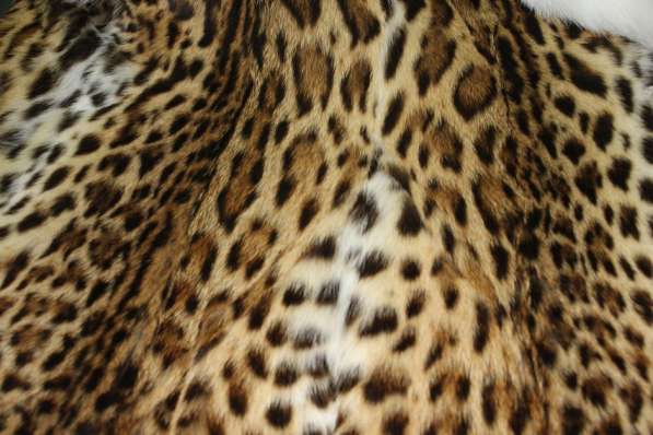 Шуба из оцелота (леопард) в Сочи фото 5