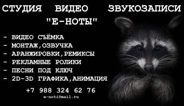 Профессиональная Студия видео-звукозаписи "Е-НОТЫ"